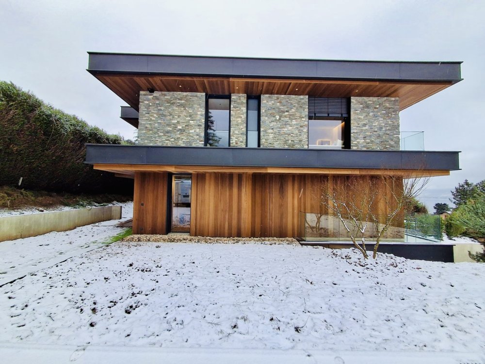 Villa contemporaine à Veyrier‑le‑Lac : menuiseries aluminium et BSO pour une ouverture totale sur le paysage
